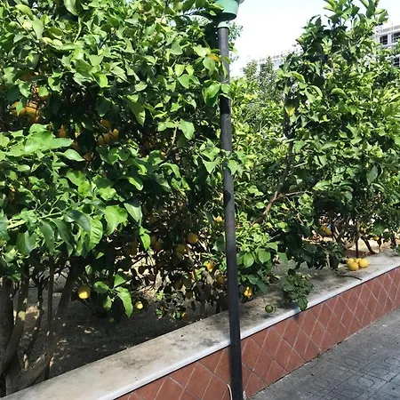 Panzió Mary Rose Castel Volturno