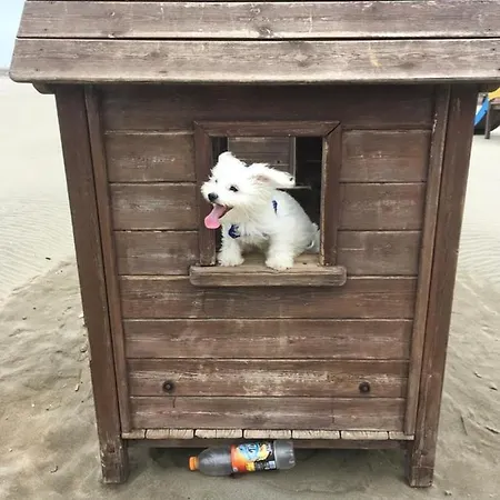 Mary Rose 3* Castel Volturno