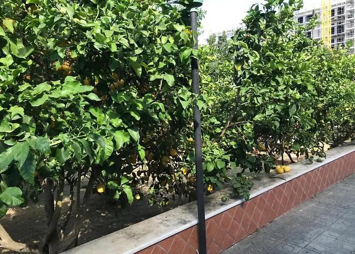 Nocleg ze śniadaniem Mary Rose Castel Volturno